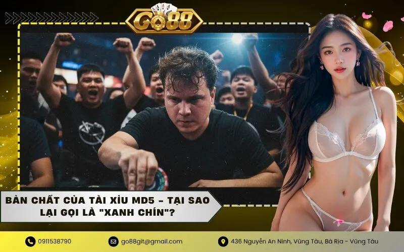 Bản Chất Của Tài Xỉu MD5 - Tại Sao Lại Gọi Là Xanh Chín